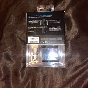 GoPro battery charger